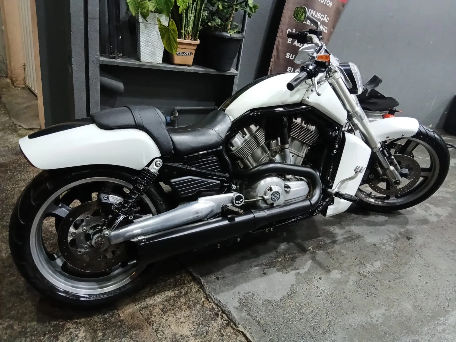 SGR ESTETICA AUTOMOTIVA — foto 8